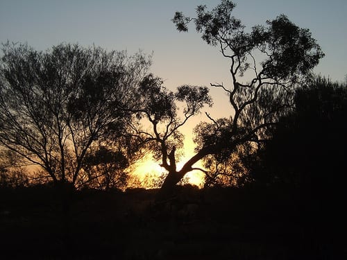 Sunset over the Olgas 2 
